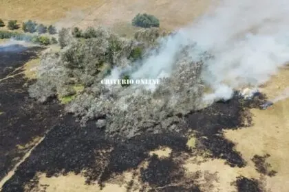 DOLORES: INCENDIO FORESTAL