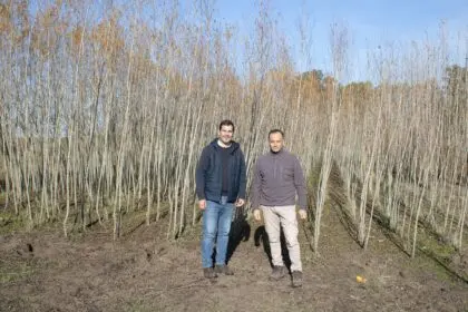 PLANIFICACIÓN URBANA: EL INTENDENTE PRESENTÓ EL PROGRAMA INTEGRAL DE FORESTACIÓN QUE ALCANZA A MÁS DE 4.000 ÁRBOLES