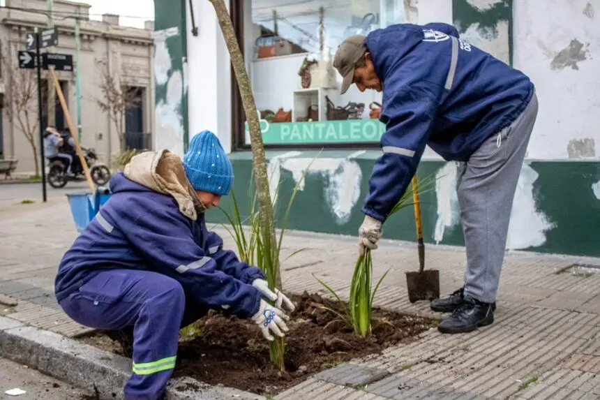 Continúan los trabajos de forestación y embellecimiento en la ciudad - Diario Criterio Online