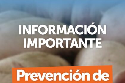 TRIQUINOSIS: QUÉ MEDIDAS HAY QUE TOMAR PARA PREVENIR LA ENFERMEDAD