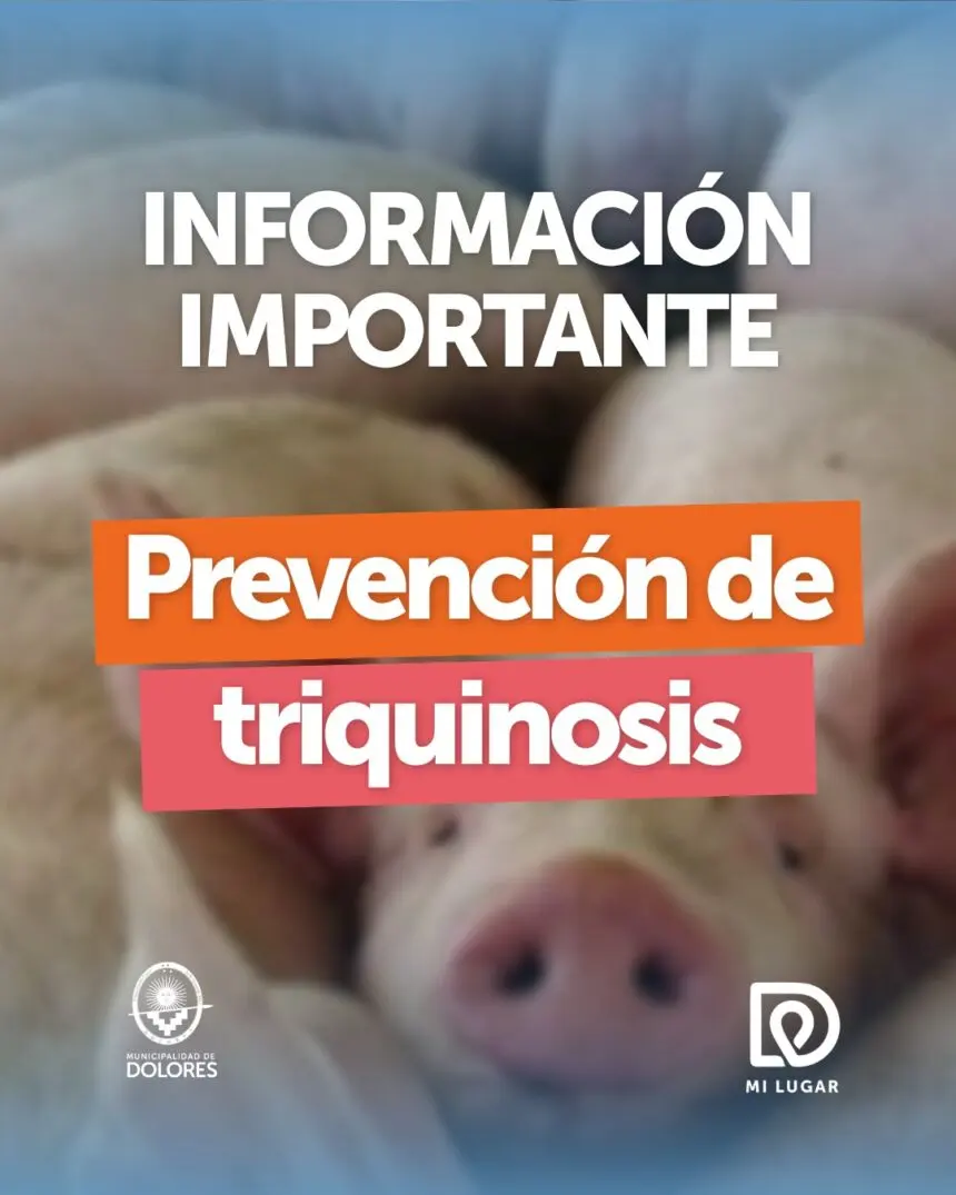 Triquinosis: qué medidas hay que tomar para prevenir la enfermedad - Diario Criterio Online