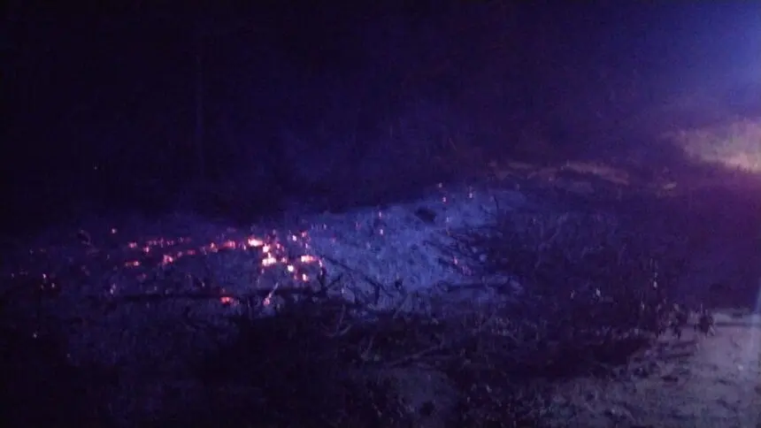 Incendio forestal en Sevigné - Diario Criterio Online