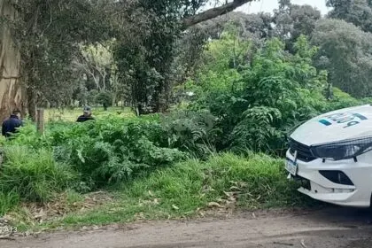 Mar del Plata: jugaban en un baldío y hallaron un cuerpo desmembrado - Diario Criterio Online