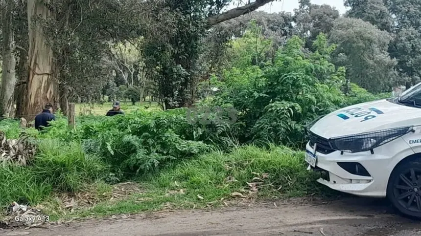 Mar del Plata: jugaban en un baldío y hallaron un cuerpo desmembrado - Diario Criterio Online