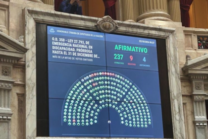 Con amplio apoyo opositor, el Gobierno logró aprobar su proyecto en discapacidad - Diario Criterio Online