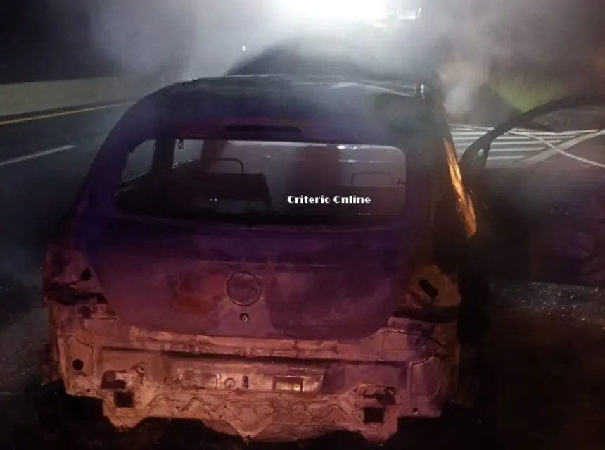Dolores: Incendio de un automóvil en la Autovía 2 - Diario Criterio Online