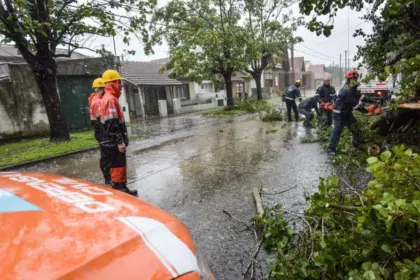Ante el fenómeno de El Niño, Mar del Plata pone en funcionamiento un Centro Único de Emergencias - Diario Criterio Online